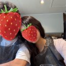 낙원밤바다 이미지