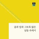 홍순영, 귤과 달과 그토록 많은 날들 속에서 이미지