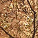 우리동내 이미지