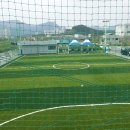 대조-010 Daum카페