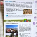 [포내마을]바다낚시 네이버블로그