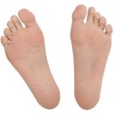 넘버원척추골반교정센터 이미지