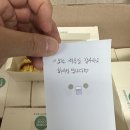 스케치독 이미지