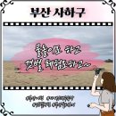아쿠아해상체험관 | 부산 다대포해수욕장 갯벌체험 아이랑가볼만한곳 국내여행