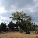 목화펜션 이미지