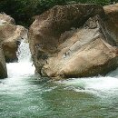 지리산화개깊은골 이미지