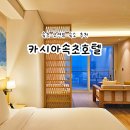 오로라 | 속초 카시아호텔 리조트 오션뷰 숙소 추천 윈터 오로라패키지 후기