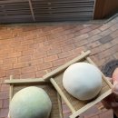 호랑이족발 이미지