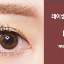 베이비밤비