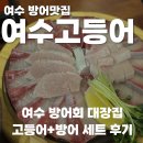 회대장 | 여수 방어회 대장집 인정, 여수고등어 방문 후기