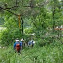 쌍봉농장 이미지