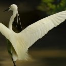 아름다운 항해 이미지