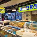 죽도시장 대게 맛집 한신수산 수율 좋은 박달대게 있는곳