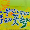 제 3회 부산낙동강 유채꽃 축제 이미지