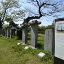 유당공원 내 비군 이미지