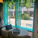 79파운야드 미사가로수길점 | 하남 미사 카페 '79파운야드' 미사가로수길점 민트 카페