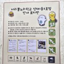 양재서리풀노리학교 이미지