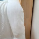동부이불 | ☁️ [내돈내산 리뷰] 보드레 텐셀 모달이불 후기 🌿｜먼지 없는 알러지케어·사계절 차렵이불·논슬립 밴딩...