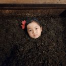 효소자연치유센터