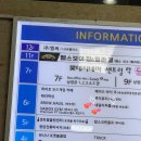 워니네일 | [네일터쳐블] 안산 중앙동 네일샵 네일터쳐블 화이트 파우더 패디 후기