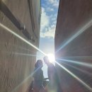 비비다아리 이미지