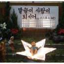 하계동성당 Daum카페