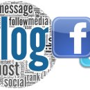 쪼끼쪼끼 이미지