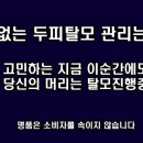 도도에이아이 네이버블로그