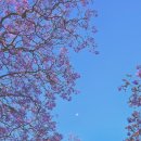 서울마트 이미지
