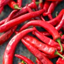 마리네 농장 이미지