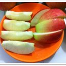 정일품농장 이미지