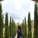 자라섬자전거대여소 이미지