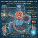 제4부 2장 이미지