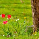 신기수목장 이미지