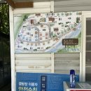 충북 제천 덕동골오토캠핑장 C-1,C-9 후기 및 사이트 추천