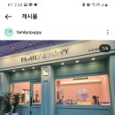 패밀리앤퍼피 이미지