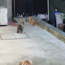 그로우바이버튼