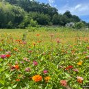 고려동 회관 이미지