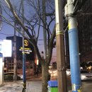 LG베스트샵 앞 횡단보도 이미지