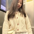 홍헤어리나