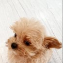 은하수인테리어 네이버블로그