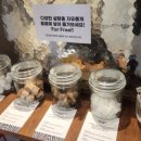 빈트립(Bean Trip) | [신림/당곡 카페] 신흥 커피 강자의 등장! 섬세함이 돋보이는 <우디빈(Woody Bean)>