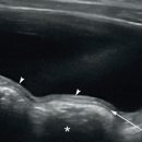 W 인천심장동물병원 이미지