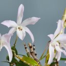 무명농장 이미지