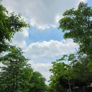 차마을 | 내곡동pt 본마을 피티 별관 2회차 운동후기