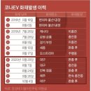 코나솔루션