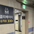 중앙플라워(생화) | 안산 중앙역 꽃집, “올디스플라워” 꽃다발 픽업 후기
