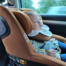 모모파크 이미지