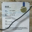 한계령칼국수 네이버블로그