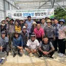 선진농장 타임뉴스